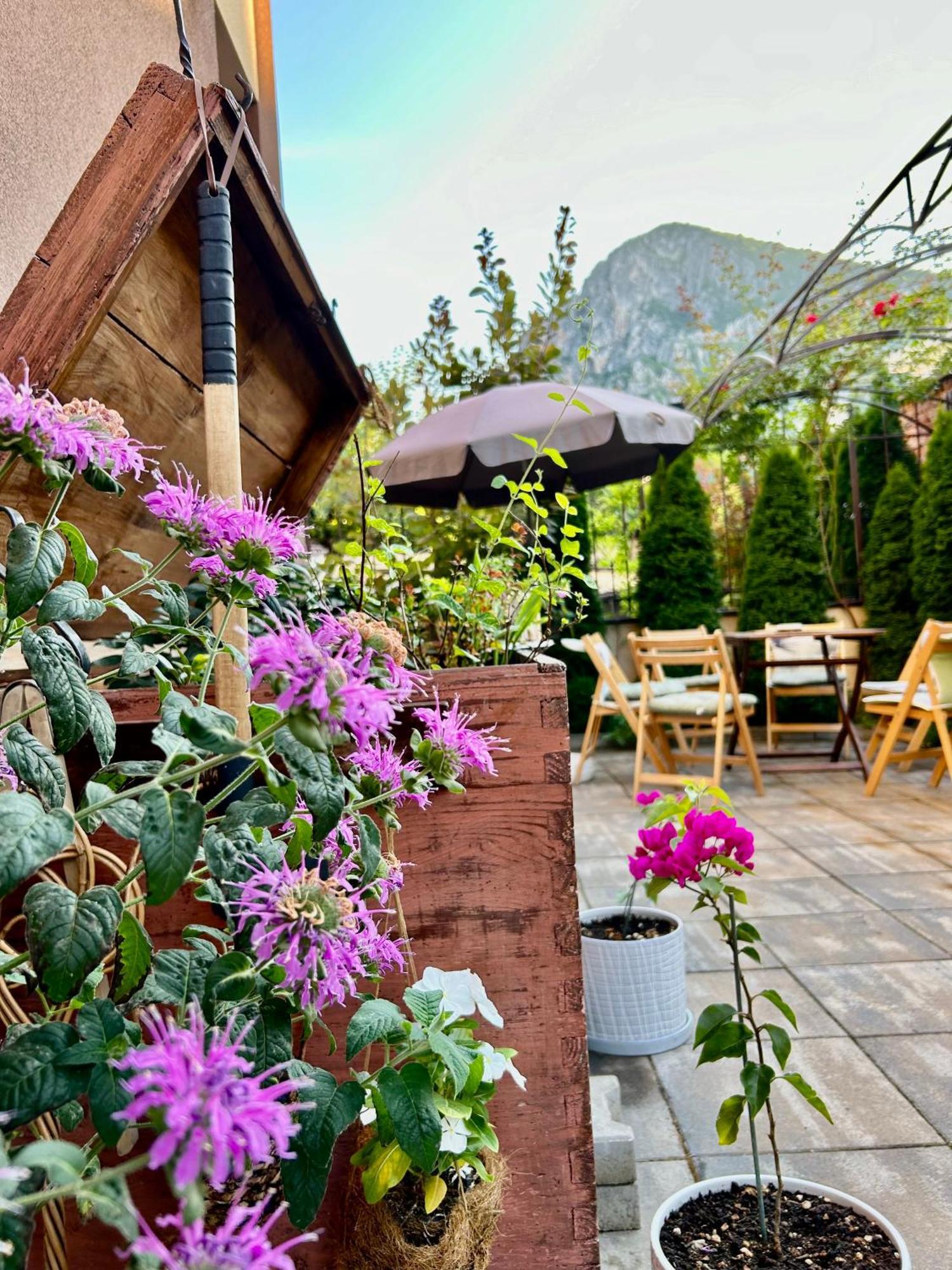 Comfort Luxury Apartments Vratsa 외부 사진